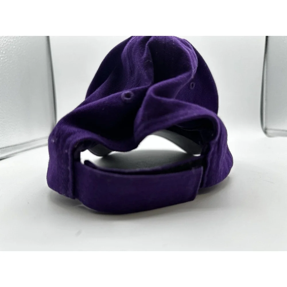 Northwestern University Wildcats 47 Brand Twins Franchise‎ Hat Cap OSFA NCAA